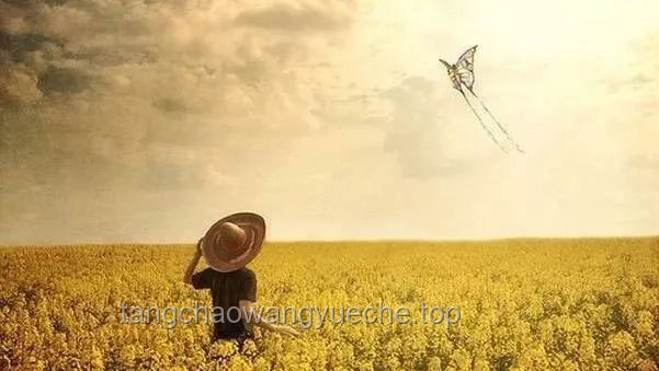 善良不是软弱：理解真正的善良与力量